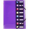 Exacompta organiser folder elasticated 3 flaps 8 compartments A4 Crystal Colours assorted