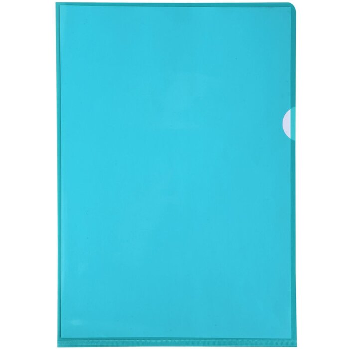 Exacompta pack of 100 file folders, smooth, strong PVC 130µ DIN A4 green