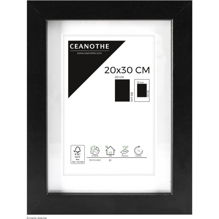 Ceanothe Picture Frame Oslo with mat 20x30 cm black