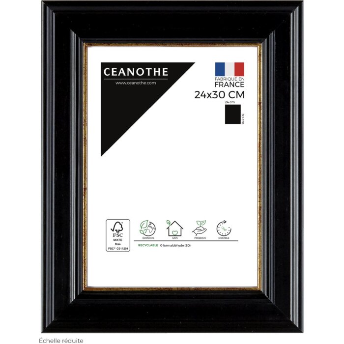 Ceanothe Picture Frame Gaia 24x30 cm black-gold