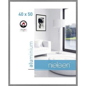 Nielsen Fire Protection Frame C2 Structure Grey Matt...