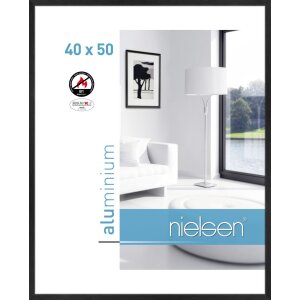 Nielsen Fire Protection Frame C2 Structure Black Matt...