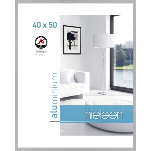 Nielsen Fire Protection Frame C2 Structure Silver Matt...