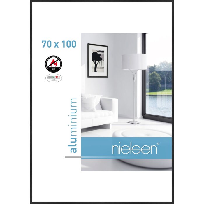 Nielsen Fire Protection Frame C2 Structure Black Matt 70x100 cm