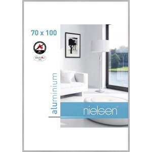 Nielsen Fire Protection Frame C2 Structure Silver Matt...