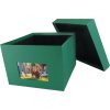 HNFD XL Photo Box Kandra 700 photos 15x20 cm fir green ribbed