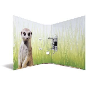 HERMA motif folder A4 Exotic animals - meerkat troop