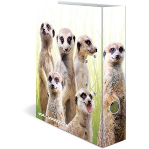 HERMA motif folder A4 Exotic animals - meerkat troop