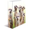 HERMA motif folder A4 Exotic animals - meerkat troop