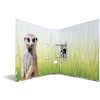 HERMA motif folder A4 Exotic animals - meerkat troop