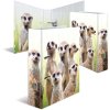 HERMA motif folder A4 Exotic animals - meerkat troop