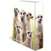 HERMA motif folder A4 Exotic animals - meerkat troop