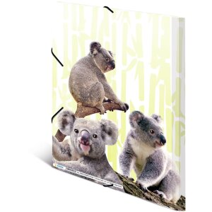 HERMA A4 PP folder - Koala family