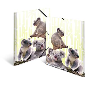 HERMA A4 PP folder - Koala family