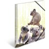 HERMA A4 PP folder - Koala family