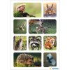 HERMA Sticker Forest Animals