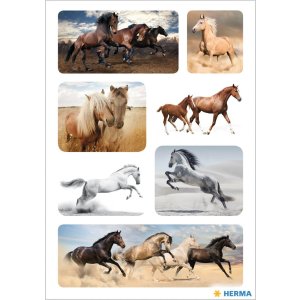 HERMA sticker wild horses 3 sheets-package