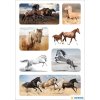 HERMA sticker wild horses 3 sheets-package