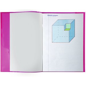 HERMA Binder Cover Transparent PLUS A4 pink