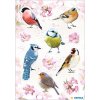 HERMA Home Birds colourful paper stickers