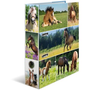 HERMA motif folder A4 Animals - horse meadow