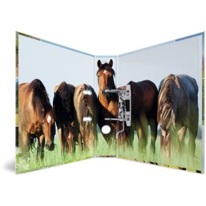 HERMA motif folder A4 Animals - horse meadow