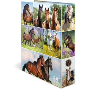 HERMA motif folder A4 Animals - horse meadow