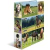 HERMA motif folder A4 Animals - horse meadow