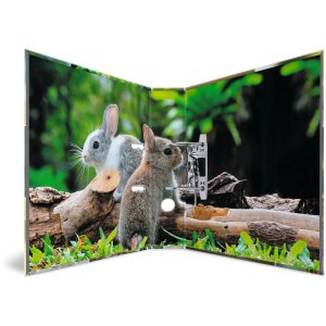 HERMA Motif Folder A4 Animals - Rodents