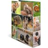 HERMA Motif Folder A4 Animals - Rodents