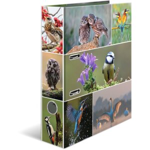 HERMA Motif Folder A4 Animals - Home Birds