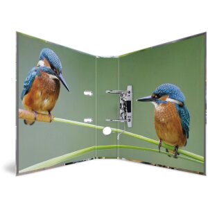 HERMA Motif Folder A4 Animals - Home Birds