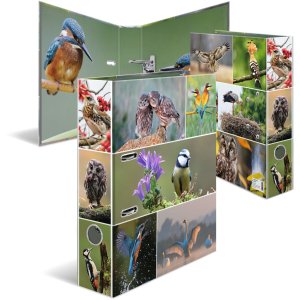 HERMA Motif Folder A4 Animals - Home Birds