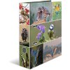 HERMA Motif Folder A4 Animals - Home Birds