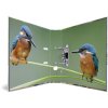 HERMA Motif Folder A4 Animals - Home Birds