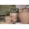 Clayre & Eef 6ce1421s flower pot for indoor Pink, Beige ø 11x10 cm