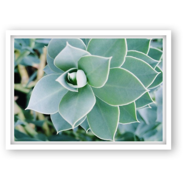 Goldbuch Plastic Frame Time To Relax 13x18 cm white Succulent