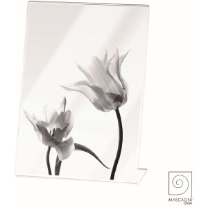 Mascagni A1152 Acrylic photo frame 13x18 cm