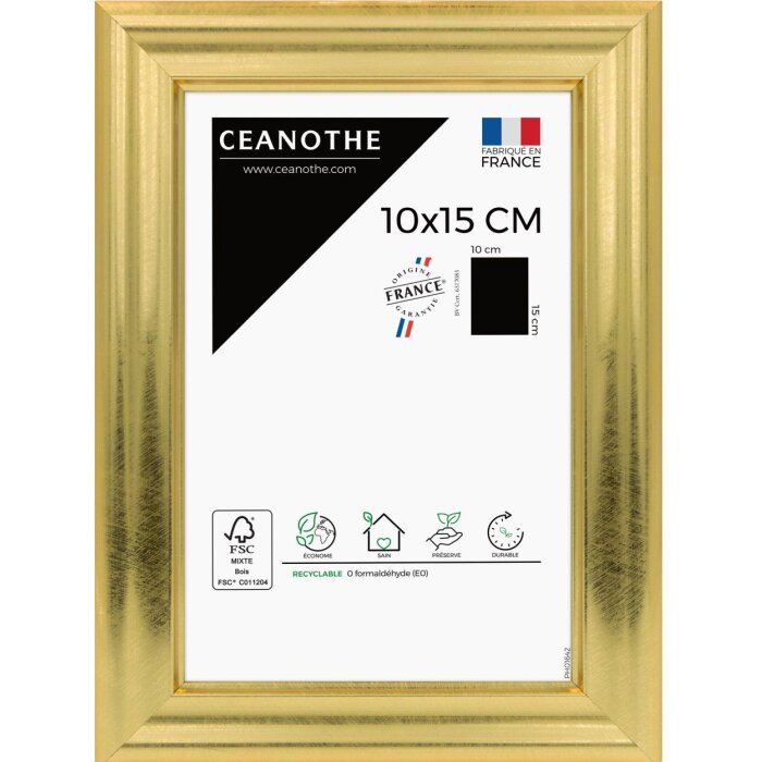 Ceanothe Picture Frame Julia 10x15 cm gold