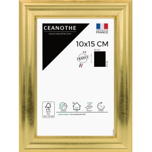 Ceanothe Picture Frame Julia 10x15 cm gold