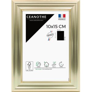 Ceanothe Picture Frame Julia 24x30 cm gold bleached