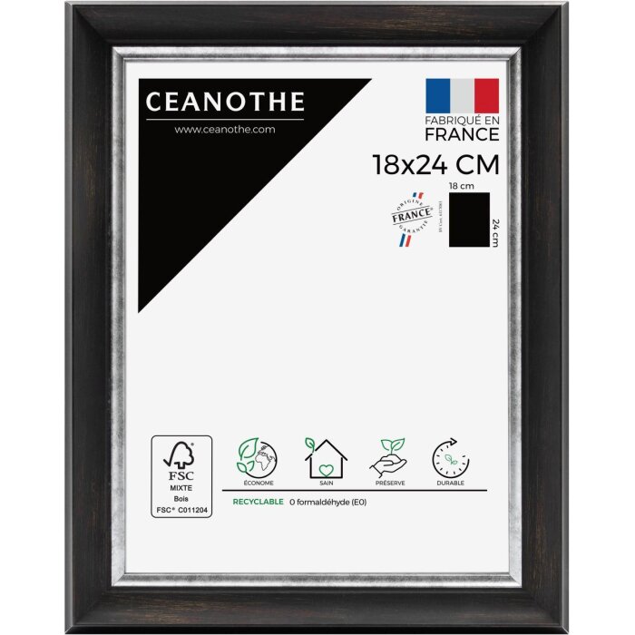 Ceanothe Picture Frame Pandore 30x40 cm black-silver