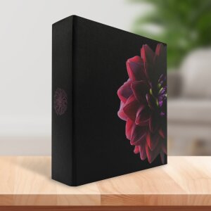 Ceanothe memo slip-in album Dahlia 200 photos 11,5x15 cm