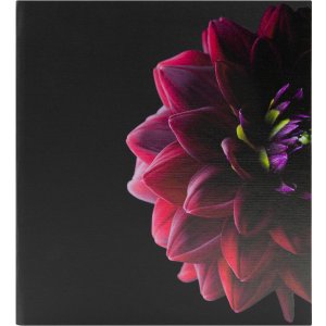 Ceanothe memo slip-in album Dahlia 200 photos 11,5x15 cm