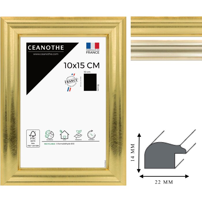 Ceanothe Picture Frame Julia 10x15 cm to 60x80 cm