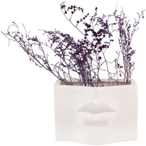 Clayre & Eef 6CE1526 Decoration Flowerpot 17x7x11 cm White