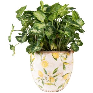 Clayre & Eef 6CE1529M Decoration Flowerpot Ø...