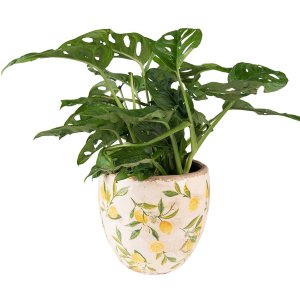 Clayre & Eef 6CE1532S Decoration Flowerpot Ø...