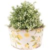 Clayre & Eef 6CE1533L Decoration Flowerpot Ø 19x10 cm Yellow