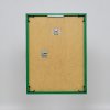 Effect plastic frame Art green 25x50 cm clear glass